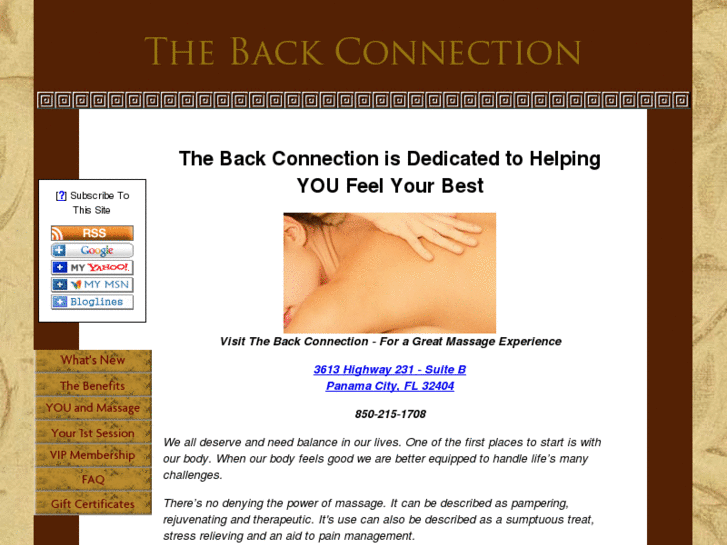 www.thebackconnection.com