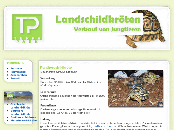 www.xn--pantherschildkrten-r3b.com