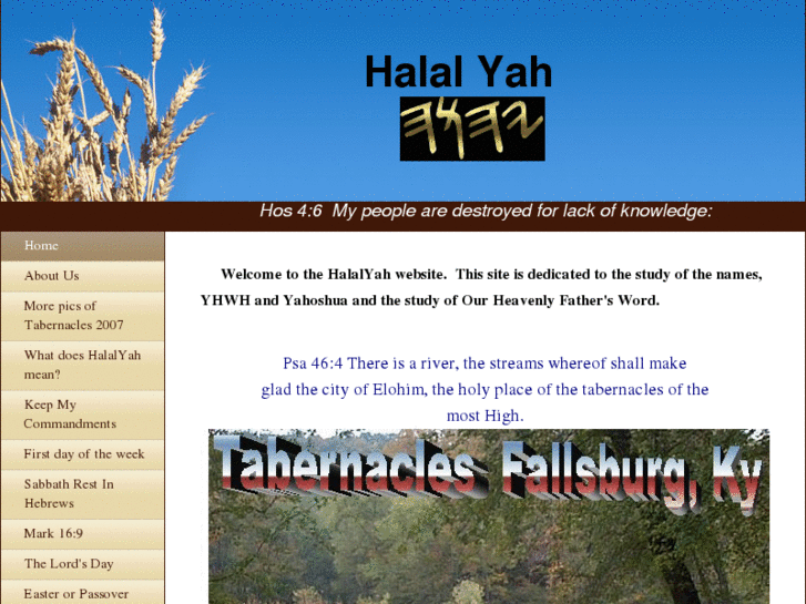 www.halalyah.com