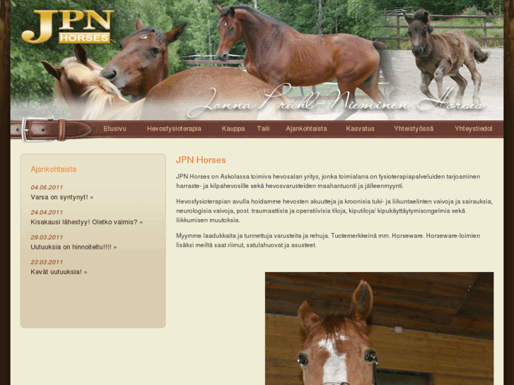 www.jpnhorses.com