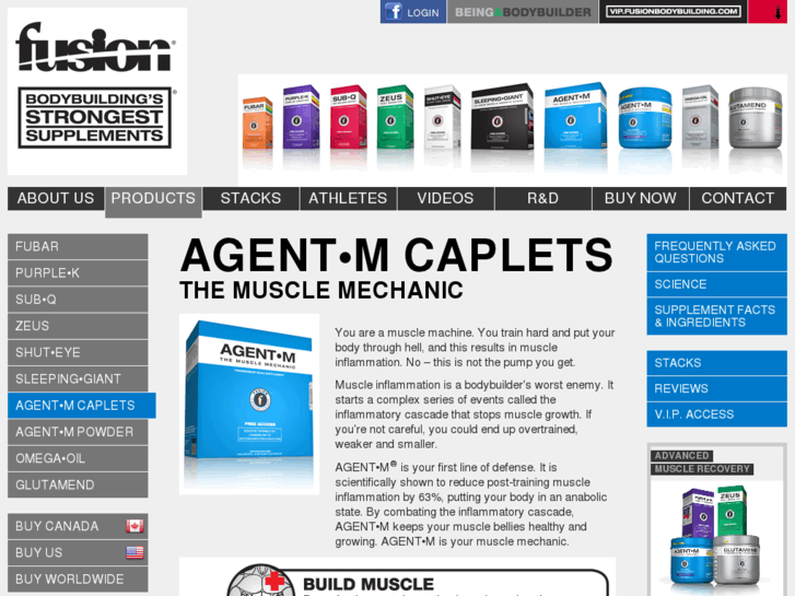 www.mymusclemechanic.com