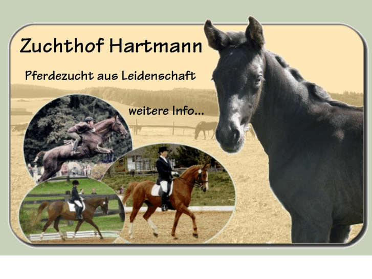 www.sportpferde-hartmann.de