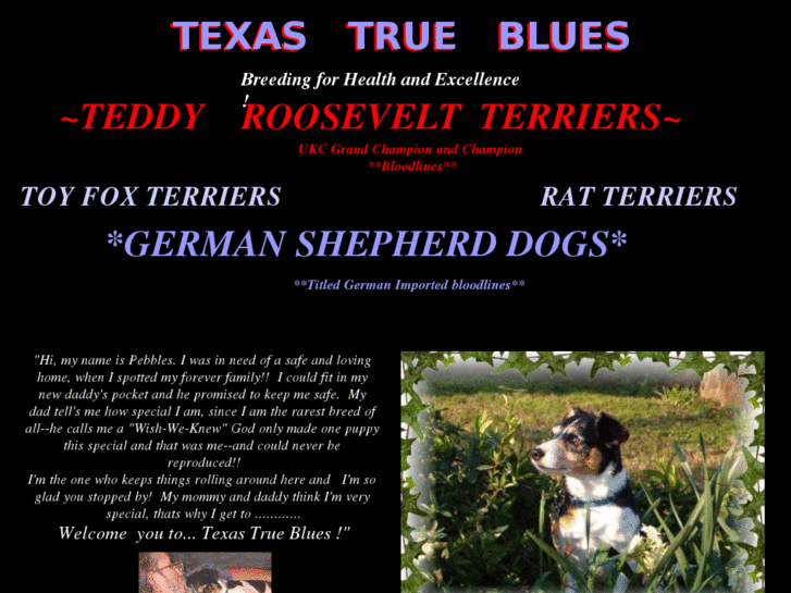 www.texastrueblues.net