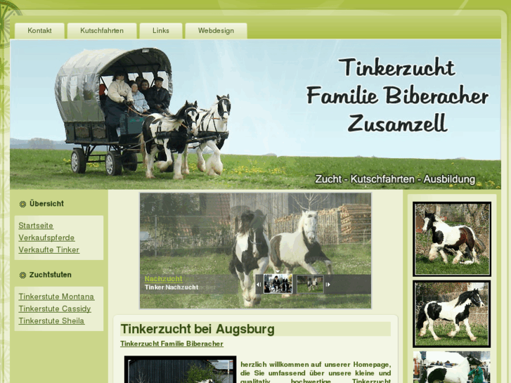 www.tinkerzucht-biberacher.de