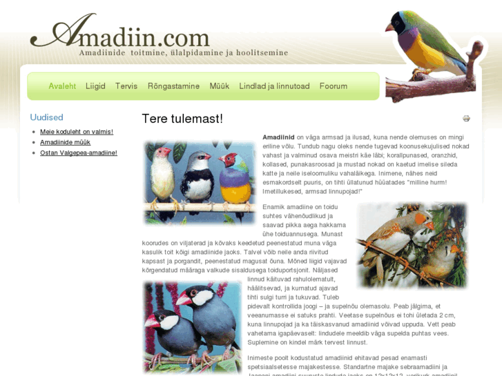 www.amadiin.com