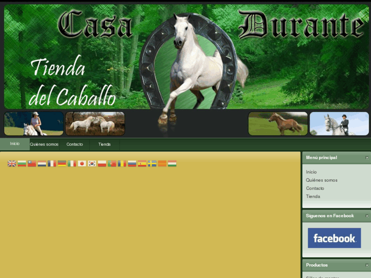 www.casadurante.es