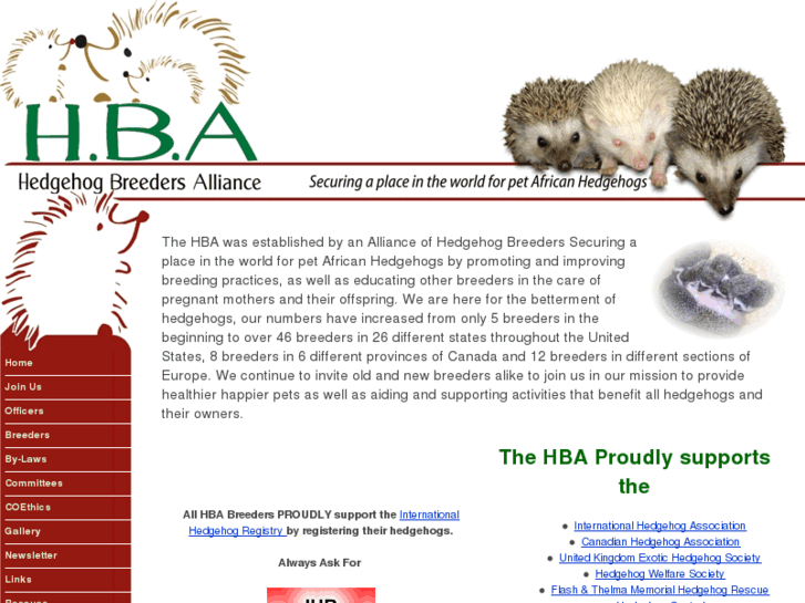 www.hedgehogbreederalliance.org