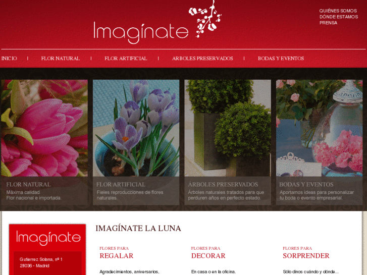 www.imaginatelaluna.com