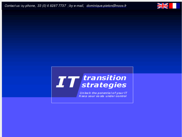 www.ittransitionstrategies.com