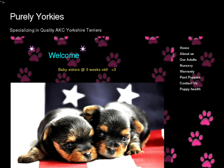 www.purelyyorkies.com