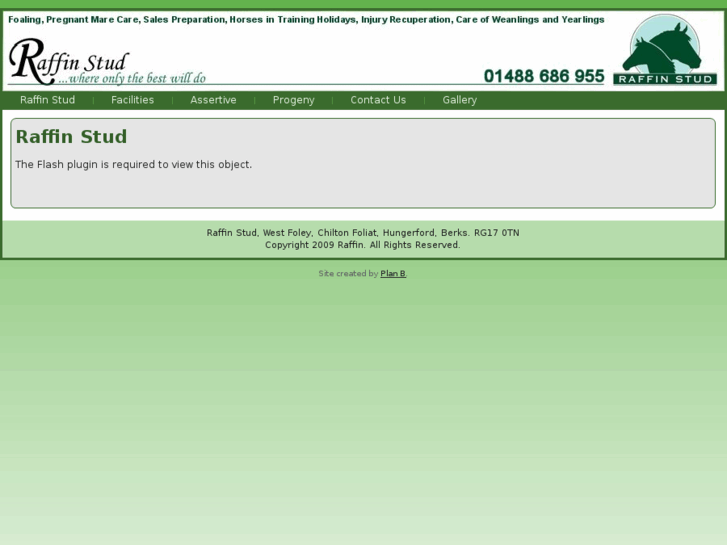 www.raffinstud.co.uk