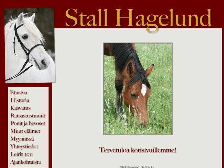 www.stallhagelund.net