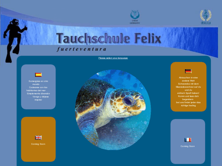 www.tauchen-fuerteventura.com