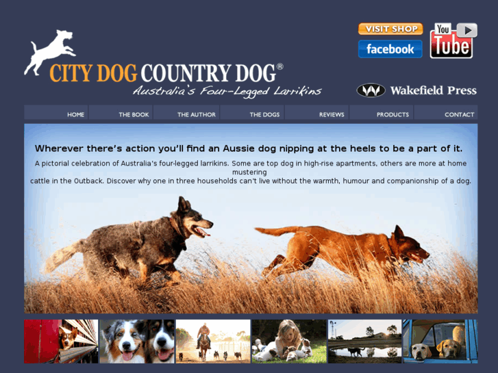 www.citydogcountrydog.com.au