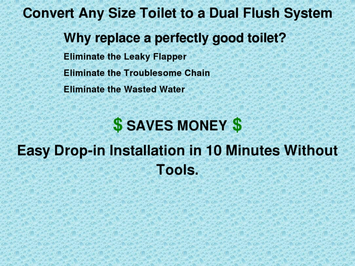 www.duelflushsystem.net