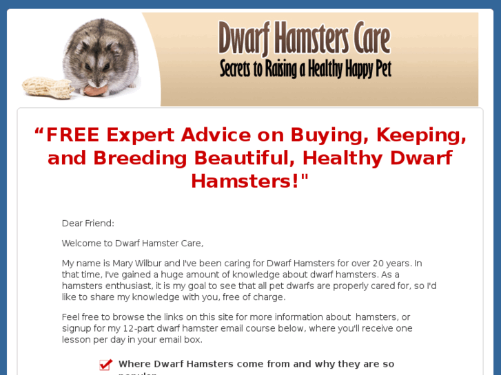 www.dwarfhamsterscare.com