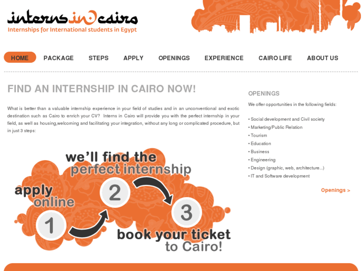 www.internsincairo.com