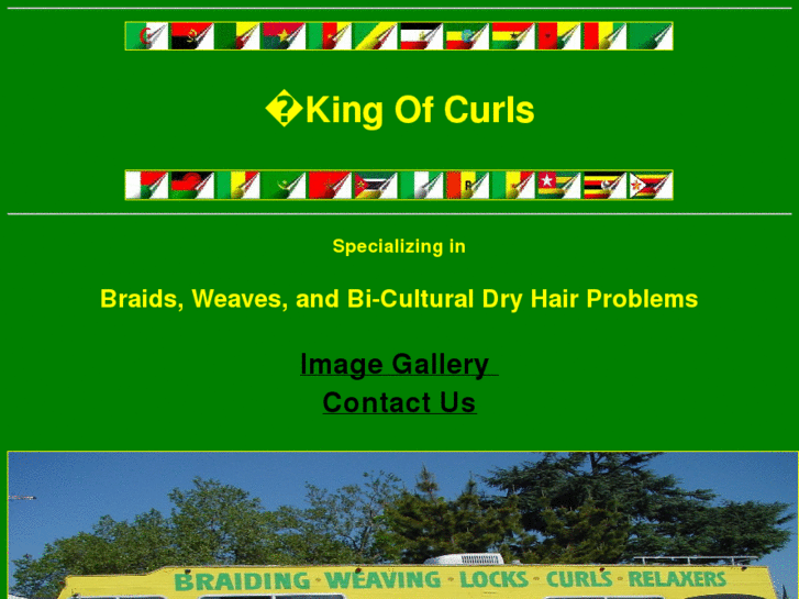 www.kingofcurls.com