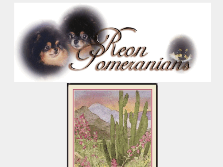 www.reonpomeranians.com