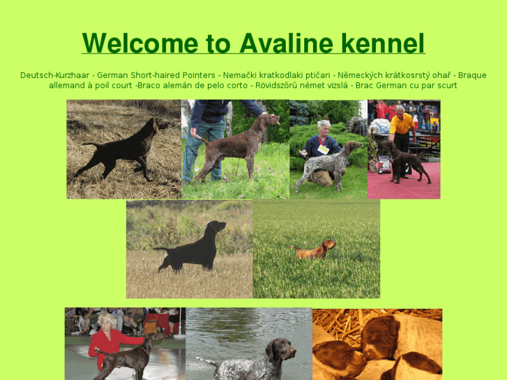 www.avalinekennel.com