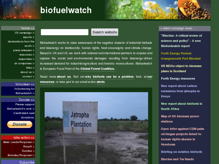 www.biofuelwatch.net