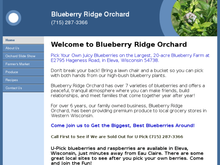 www.blueberryridge-orchard.com