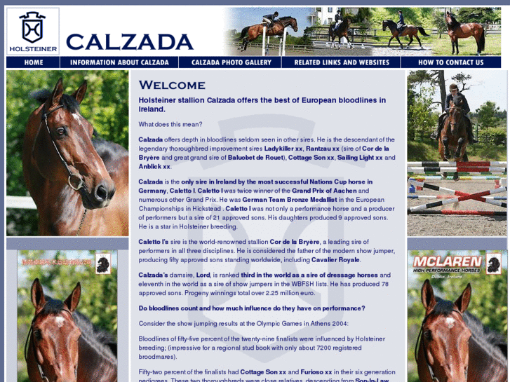 www.calzada.ie