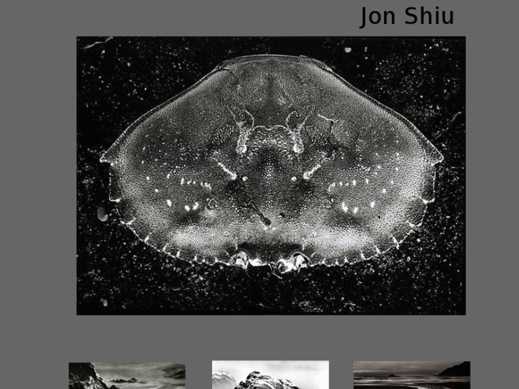 www.jonshiu.com