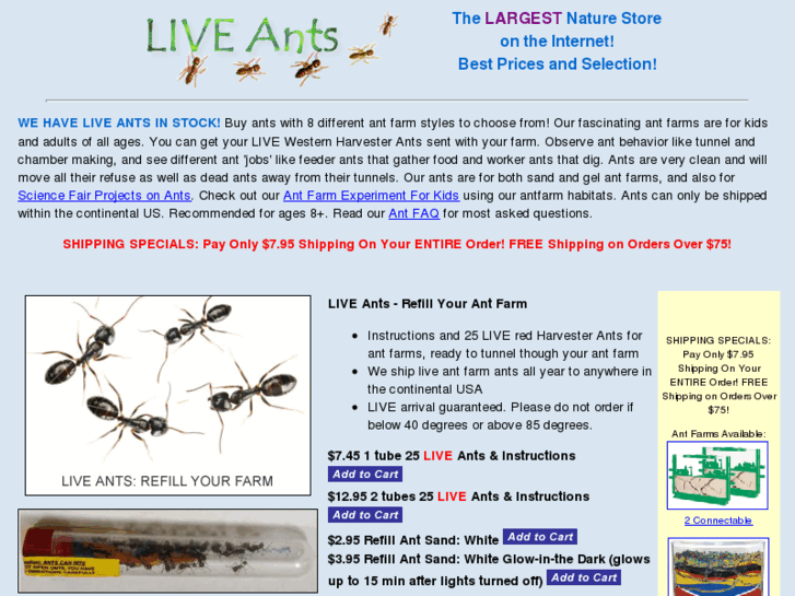 www.live-ants.com