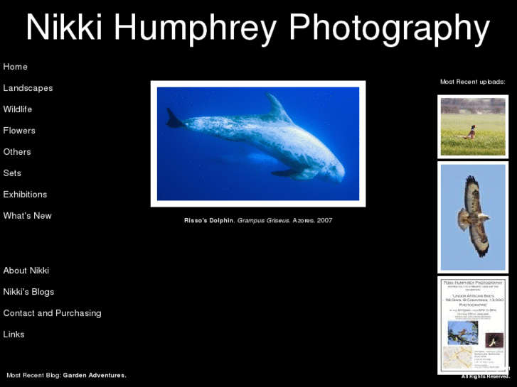 www.nikkihumphrey.com