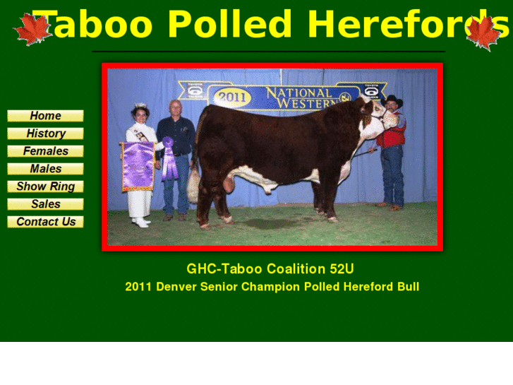 www.taboopolledherefords.com