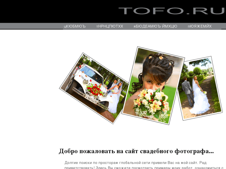 www.tofo.ru