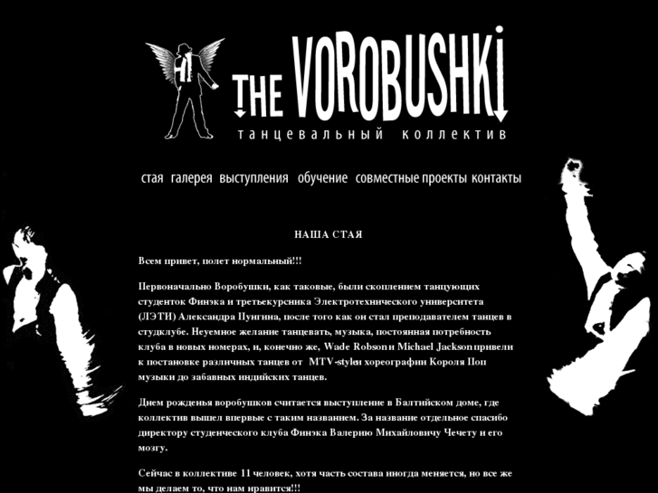 www.vorobushki.com