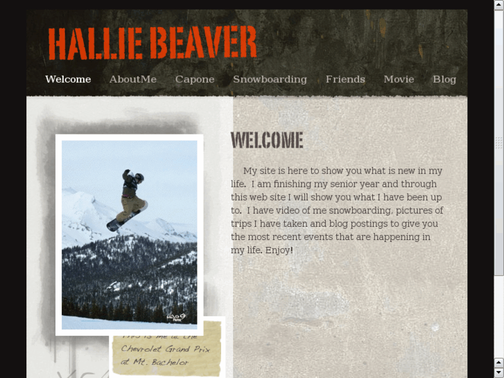 www.halliebeaver.com