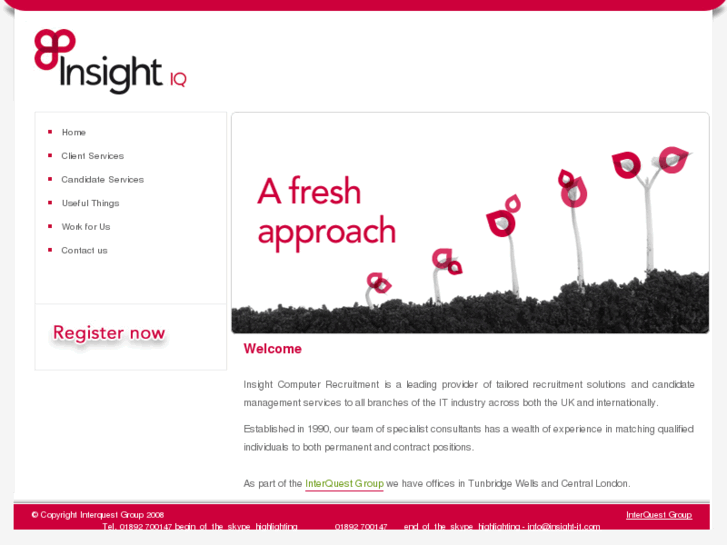 www.insight-it.com