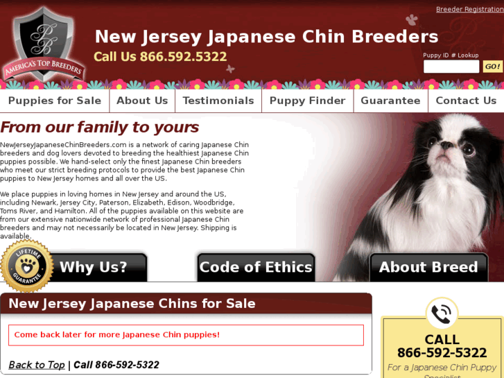 www.newjerseyjapanesechinbreeders.com