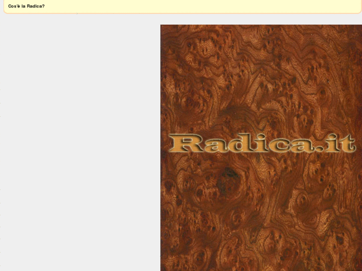 www.radica.it