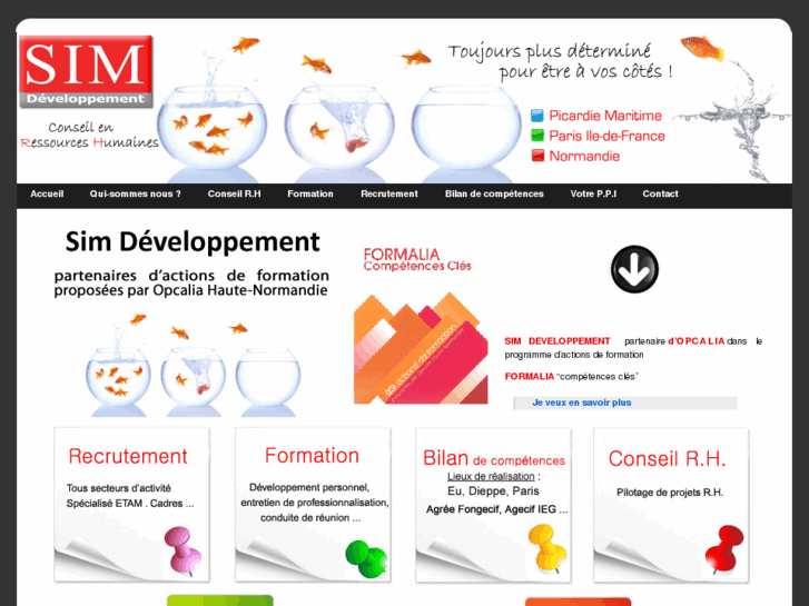 www.simdeveloppement.com