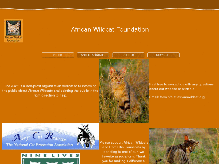 www.africanwildcat.org