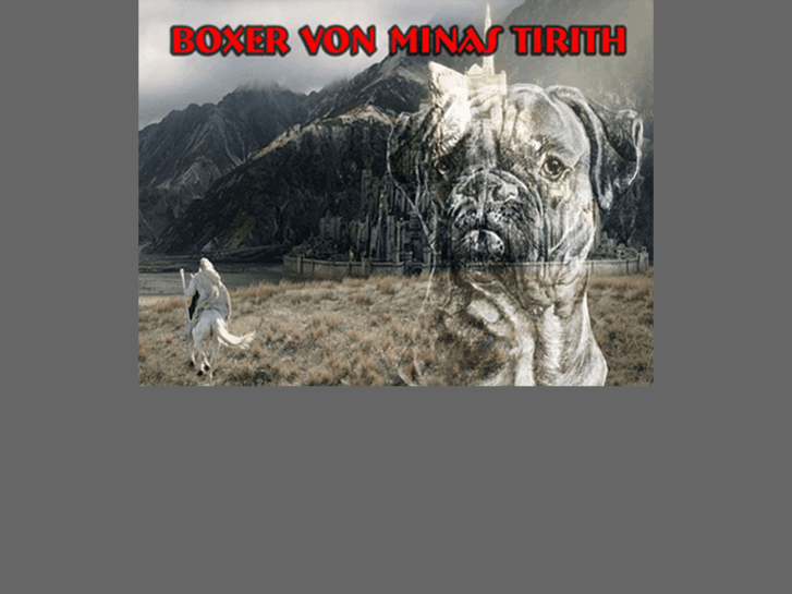 www.boxer-von-minas-tirith.com