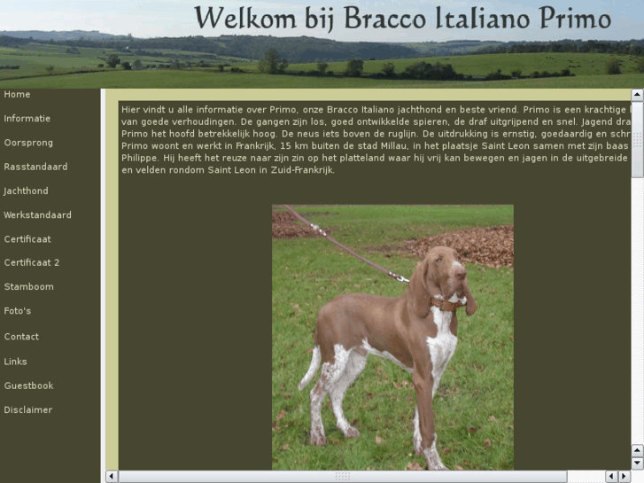 www.braccoitaliano.biz