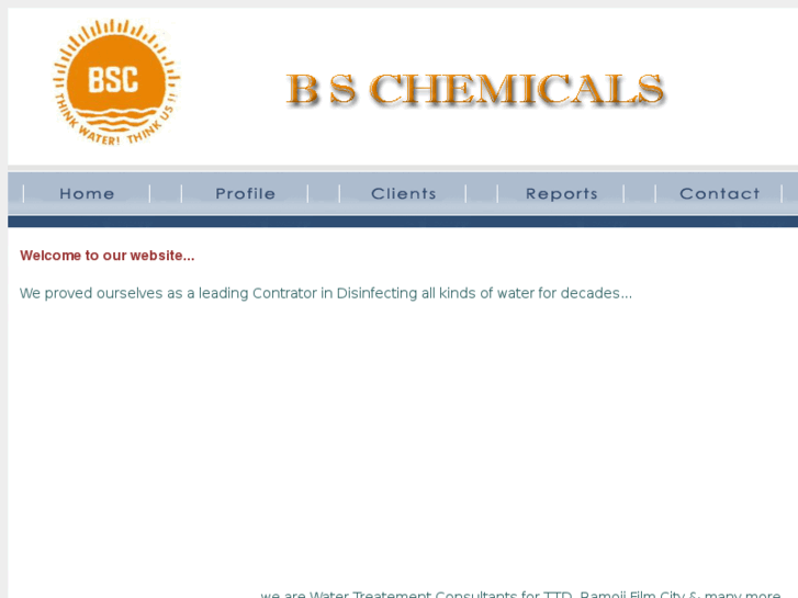 www.bschemicals.com