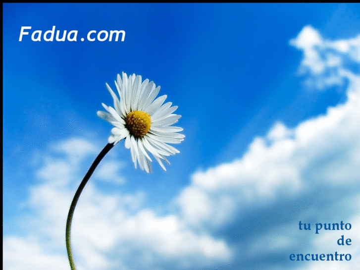 www.fadua.com