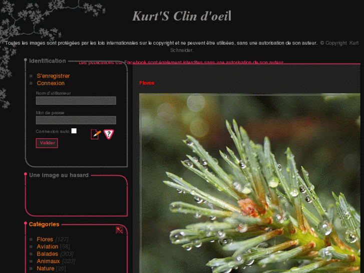 www.kurt-clindoeil.com