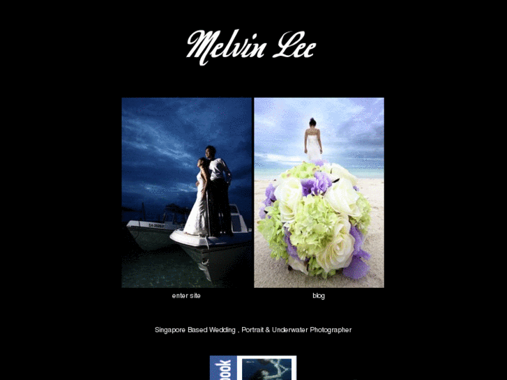 www.melvin-lee.com