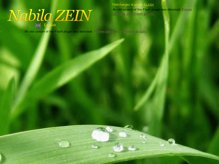 www.nabilazein.com