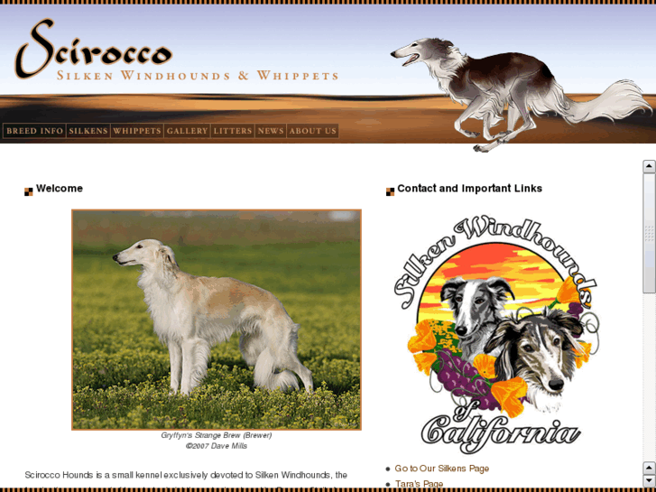 www.sciroccohounds.com