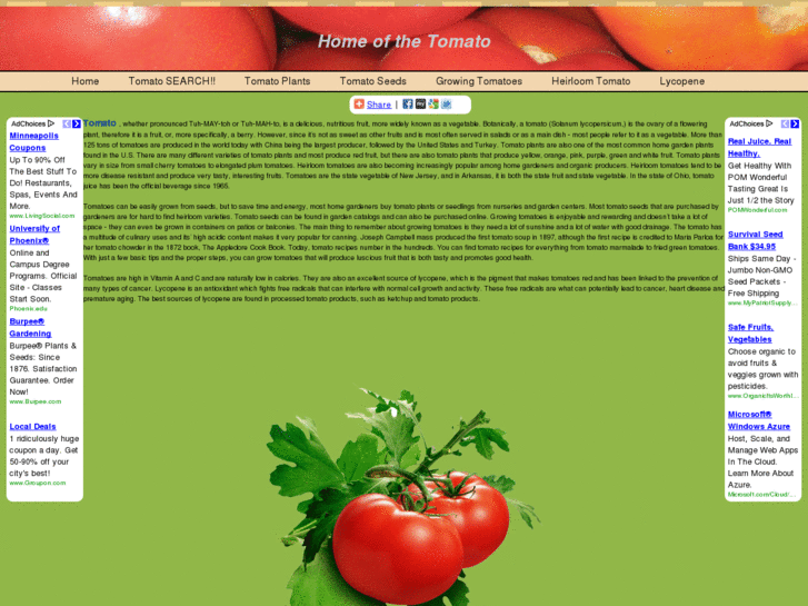 www.tomato-home.com