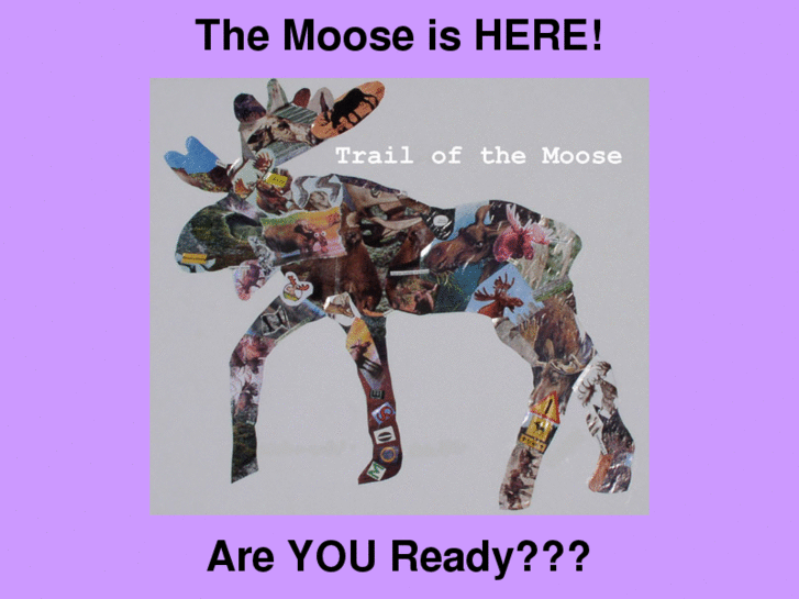 www.trailofthemoose.com