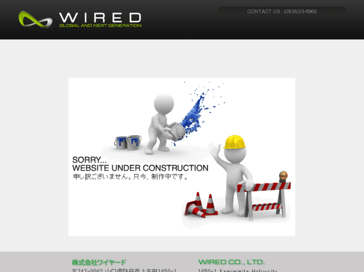 www.wired-visions.com